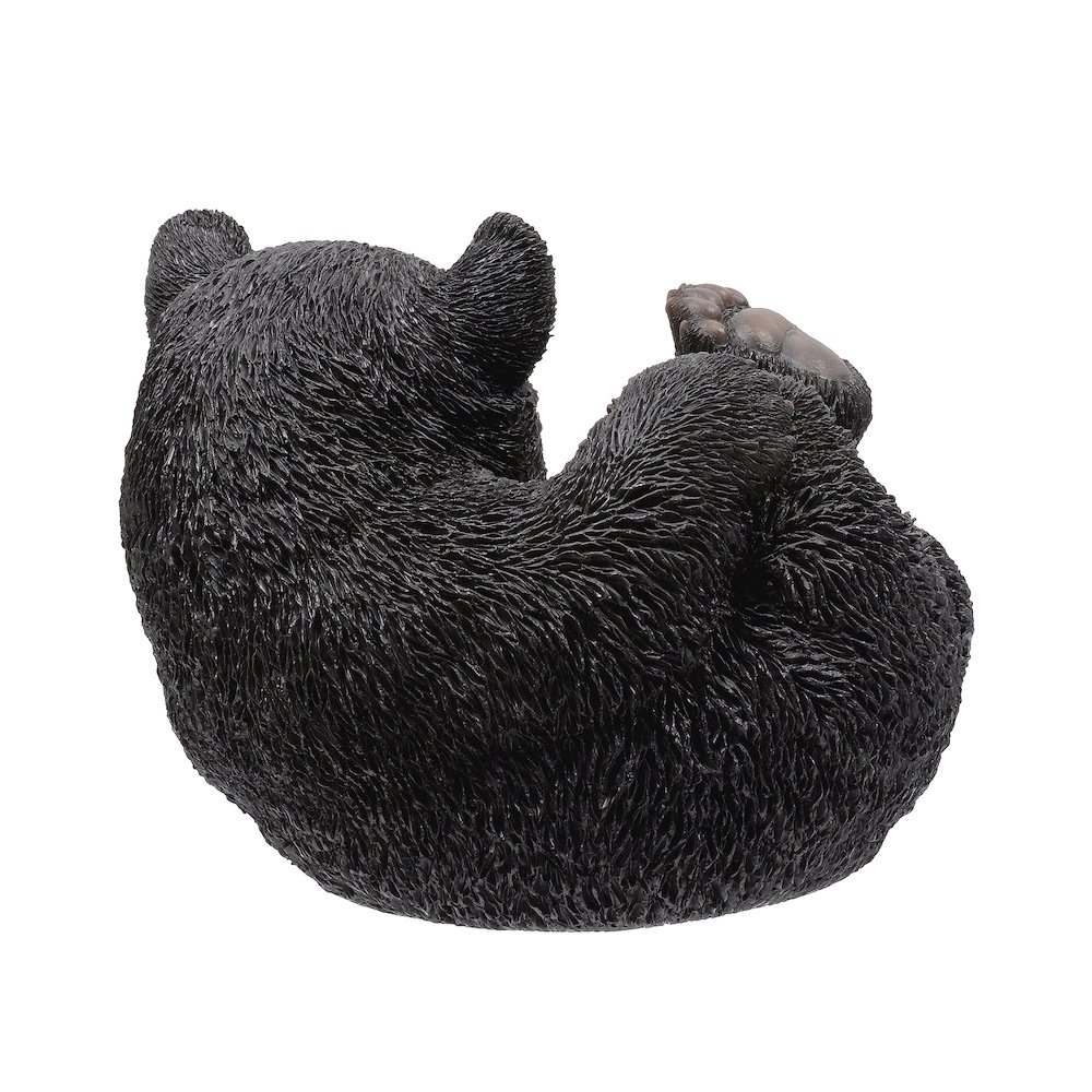 Baby Black Bear Lying. Picture 4