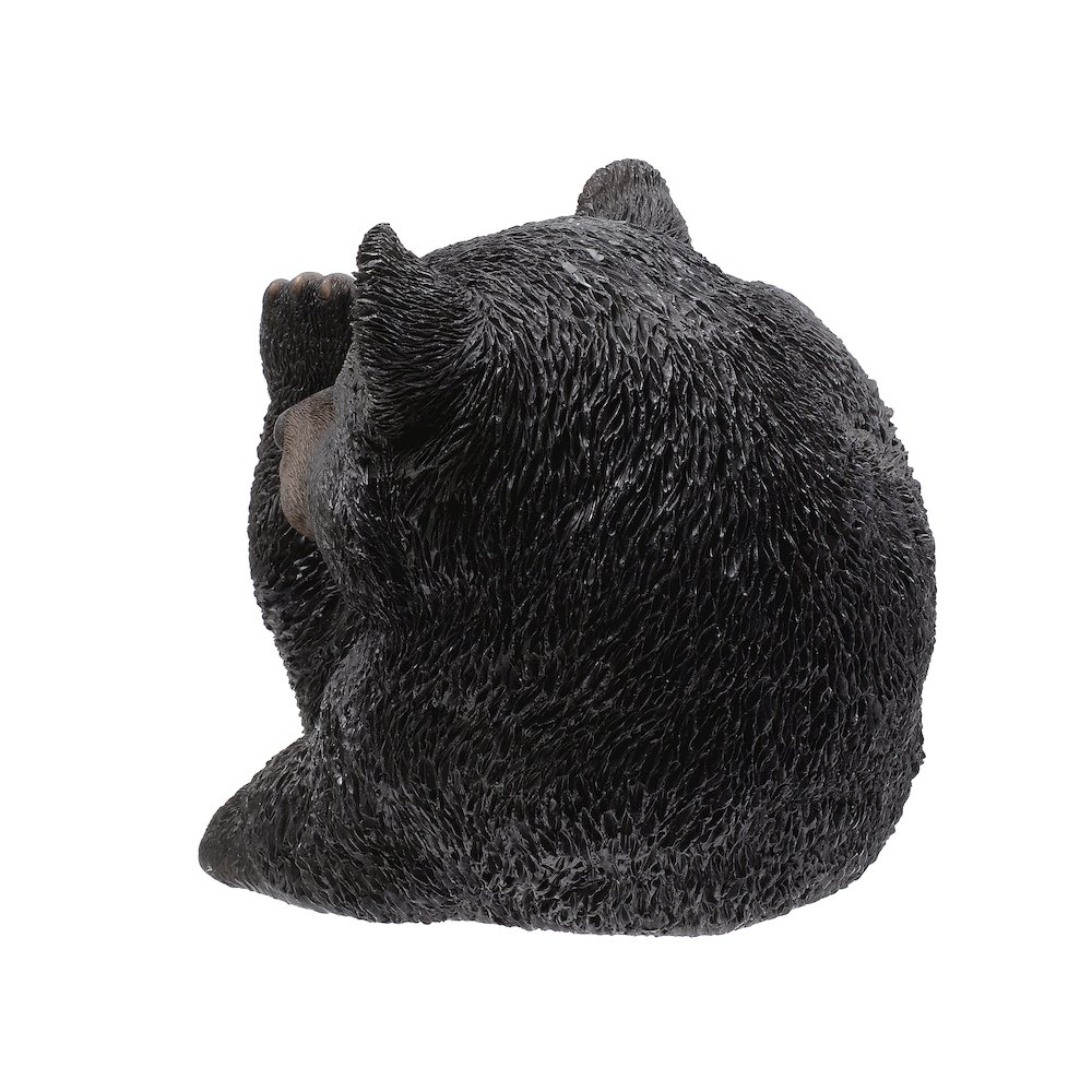 Baby Black Bear Lying. Picture 5