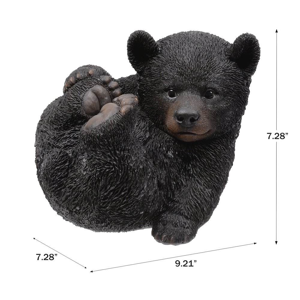 Baby Black Bear Lying. Picture 3