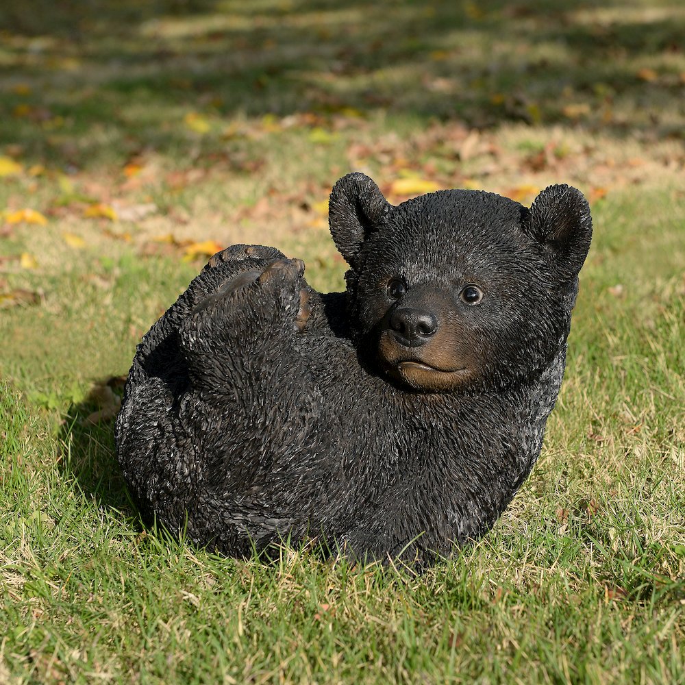 Baby Black Bear Lying. Picture 2