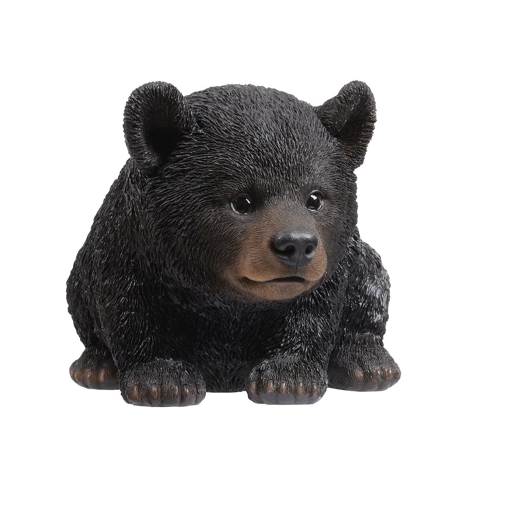 Baby Black Bear Crawling. Picture 4