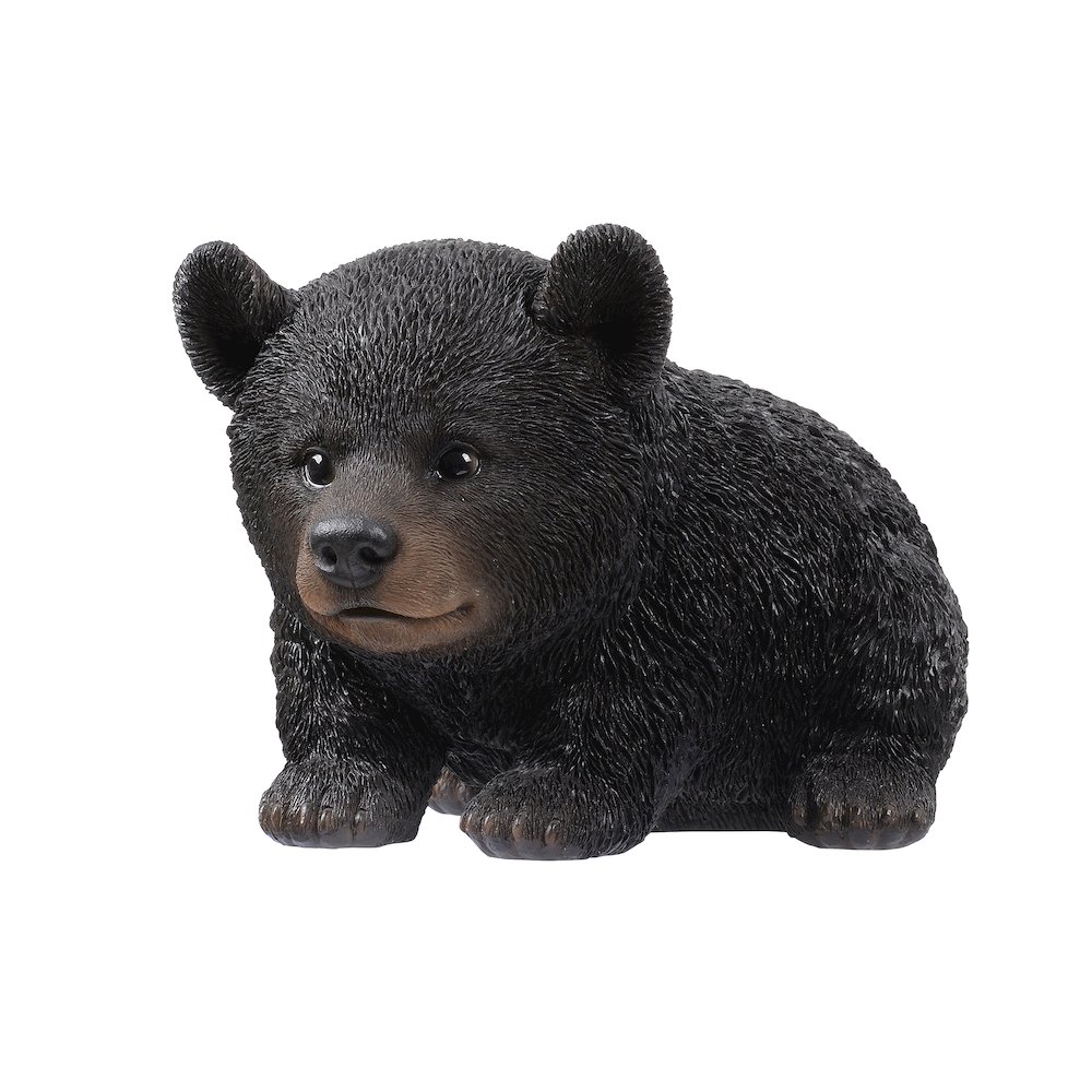 Baby Black Bear Crawling. Picture 5