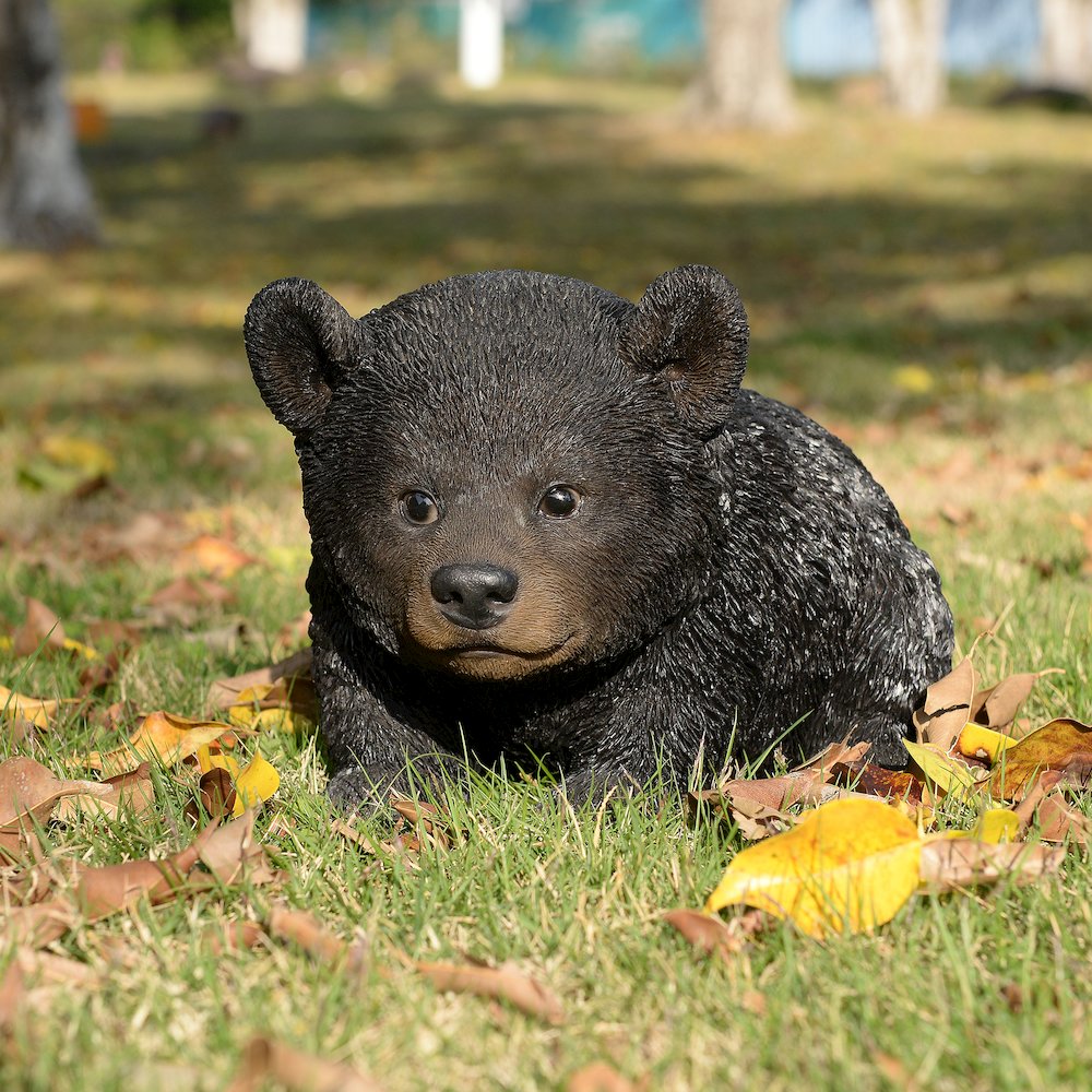 Baby Black Bear Crawling. Picture 2