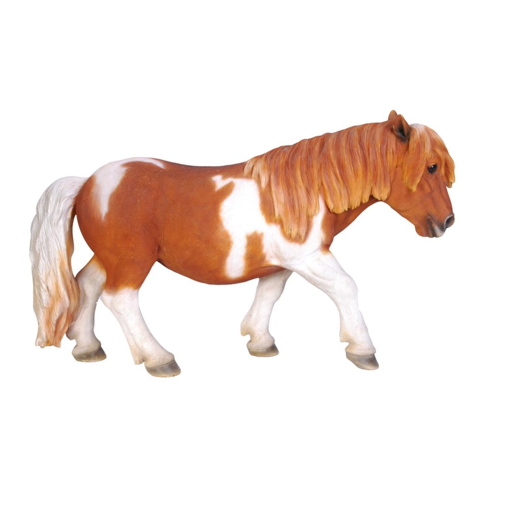 Shetland Pony-Brown/White. Picture 4