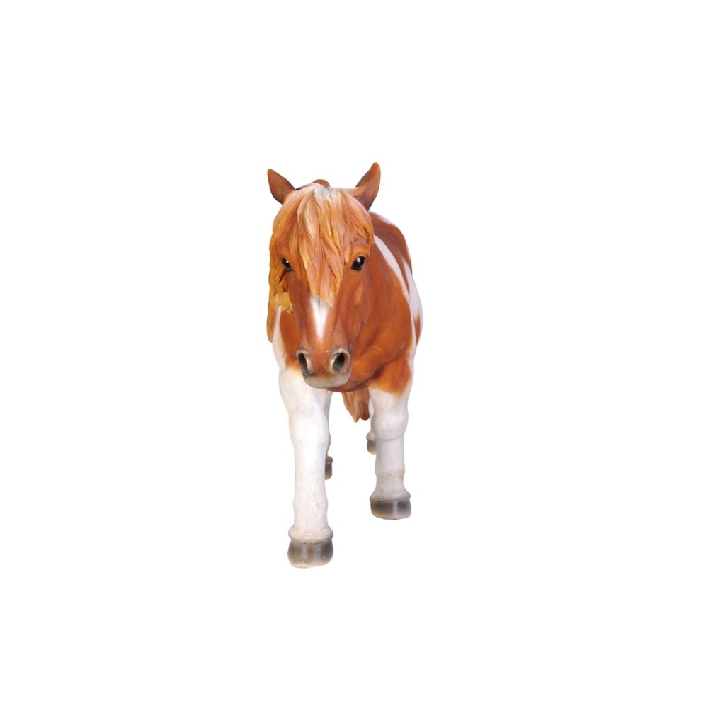 Shetland Pony-Brown/White. Picture 2
