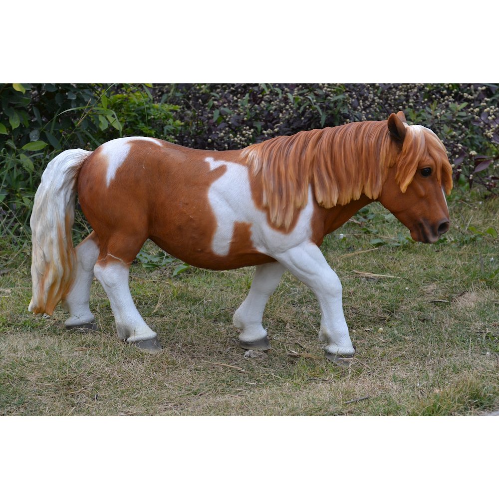 Shetland Pony-Brown/White. Picture 5