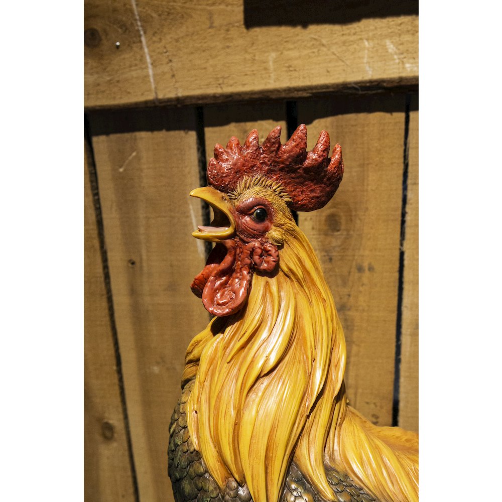 Large Cock On A Wood Barrel. Picture 6