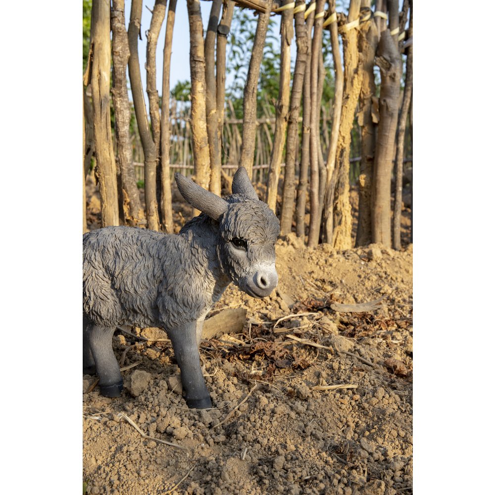 Standing Grey Donkey Looking Right Statue. Picture 6