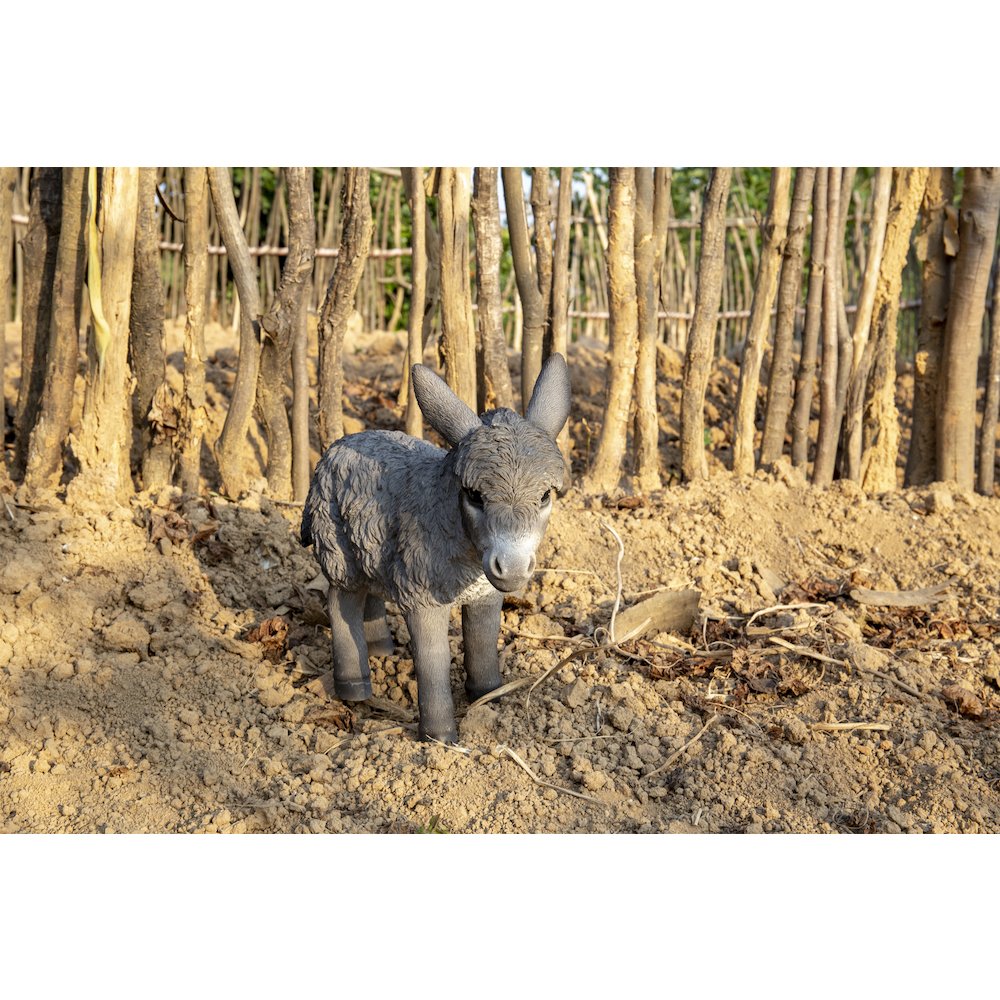Standing Grey Donkey Looking Right Statue. Picture 9