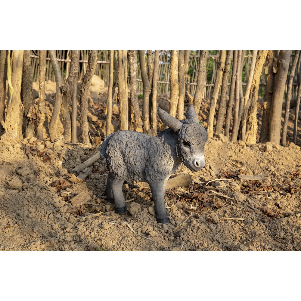 Standing Grey Donkey Looking Right Statue. Picture 8