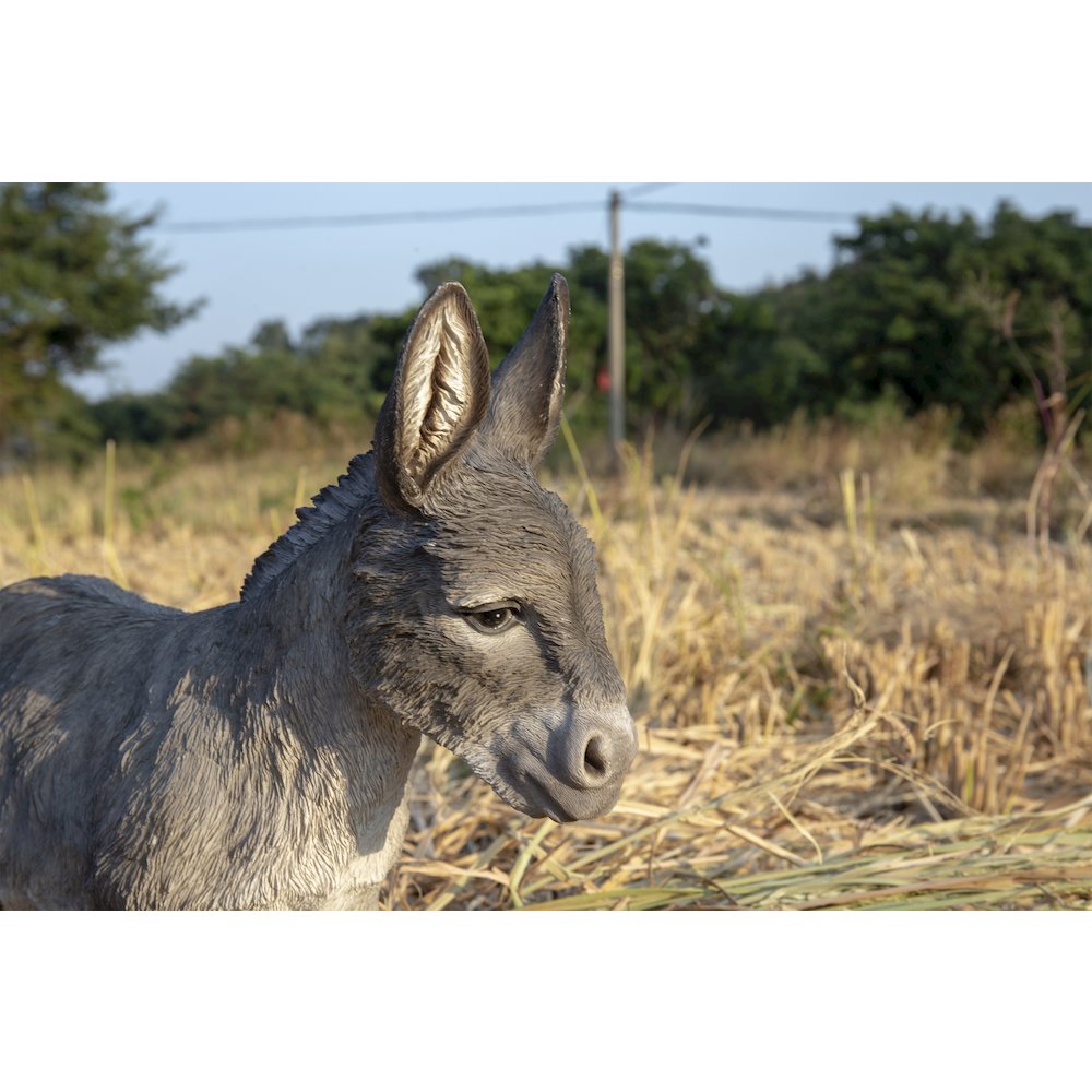 Standing Grey Donkey Statue. Picture 5