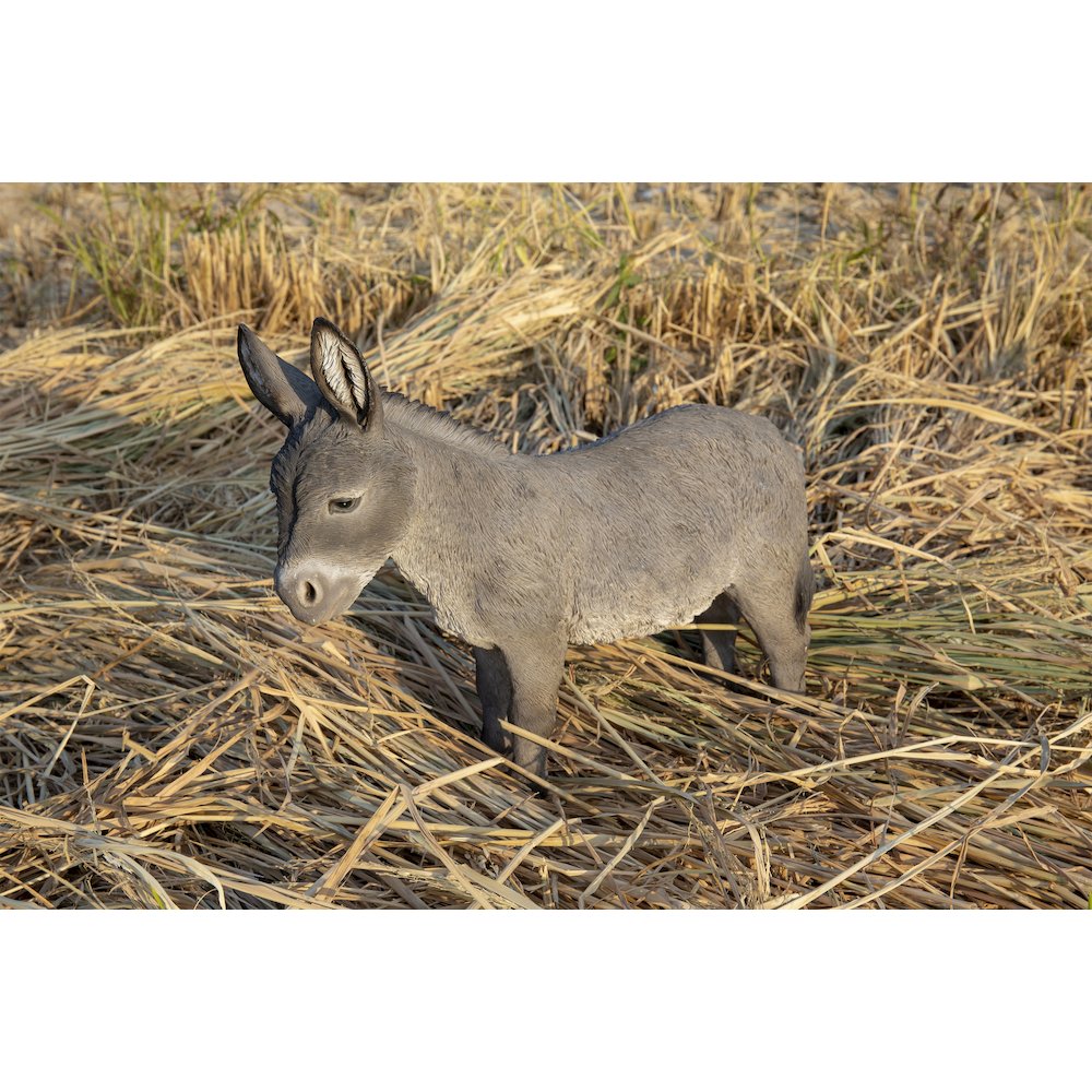 Standing Grey Donkey Statue. Picture 8