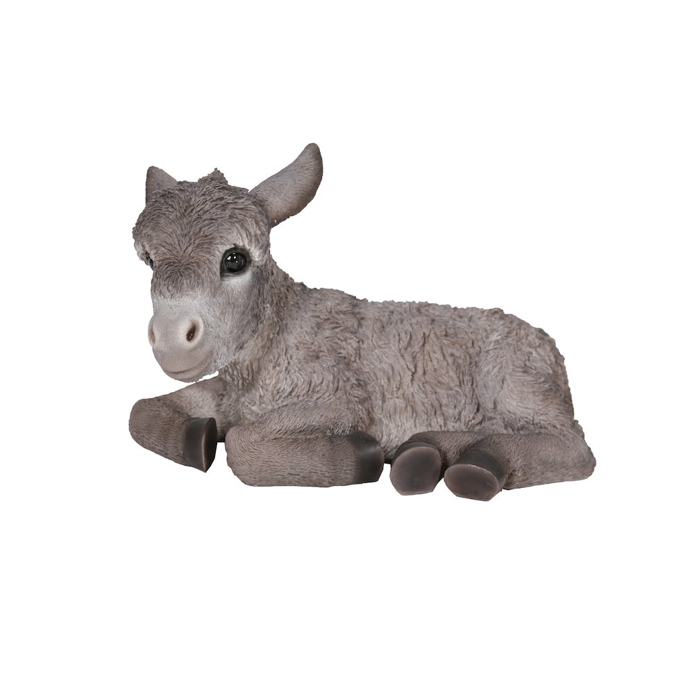 Medium Donkey Foal Lying Down. Picture 2