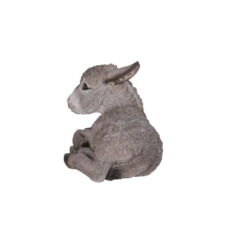 Medium Donkey Foal Lying Down. Picture 3