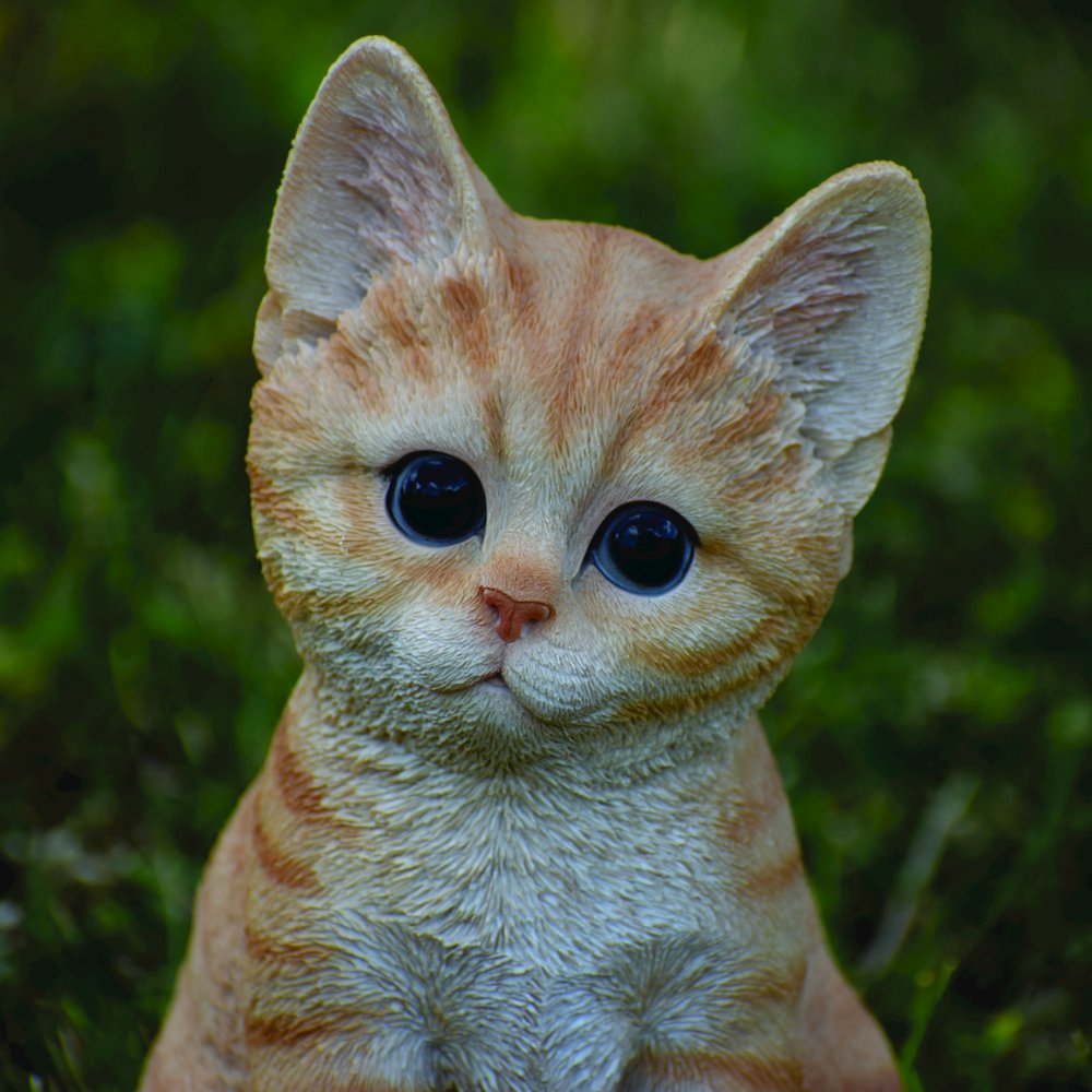 Sitting Kitten Statue. Picture 6