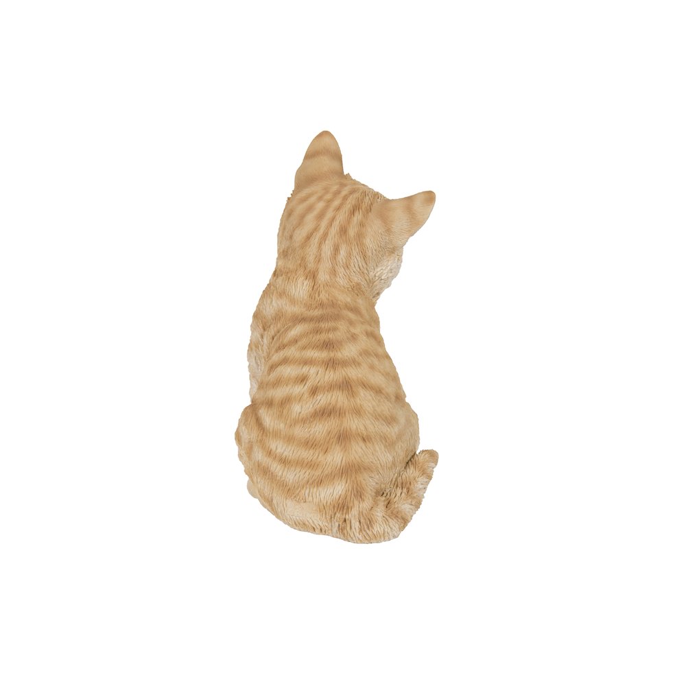 Head-Tilting Orange Tabby Kitten Sitting. Picture 3