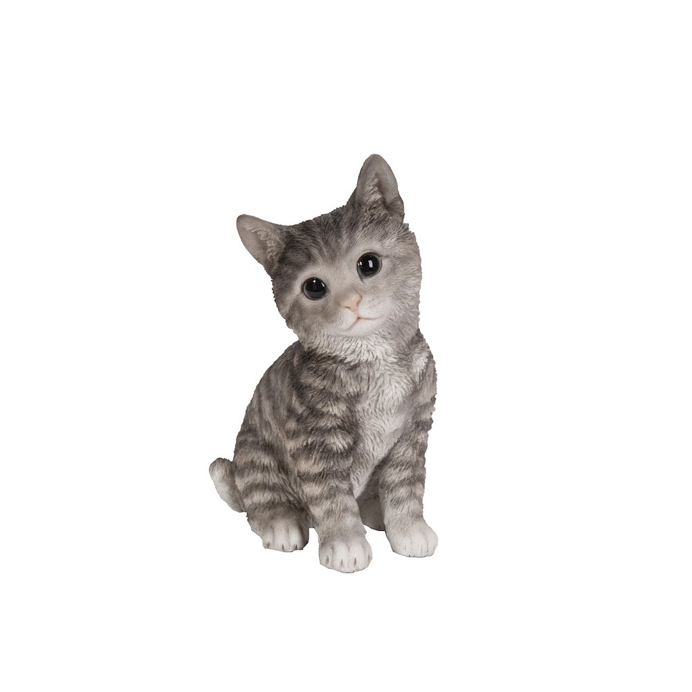 Head-Tilting Grey Tabby Kitten Sitting. Picture 2