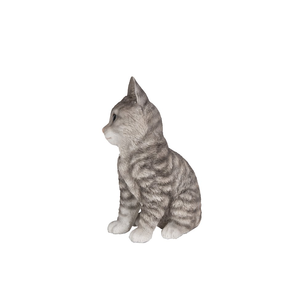 Head-Tilting Grey Tabby Kitten Sitting. Picture 3
