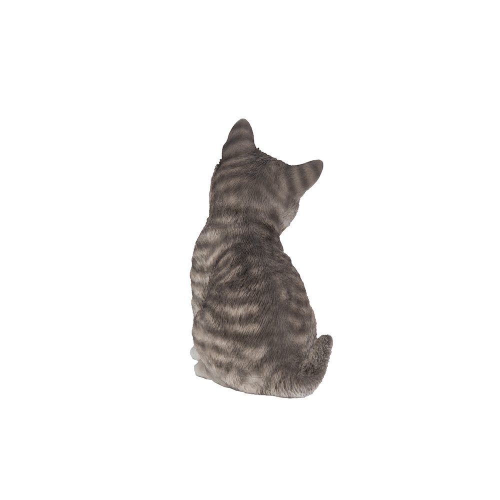 Head-Tilting Grey Tabby Kitten Sitting. Picture 4