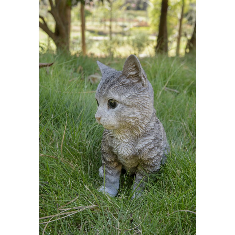 Head-Tilting Grey Tabby Kitten Sitting. Picture 7