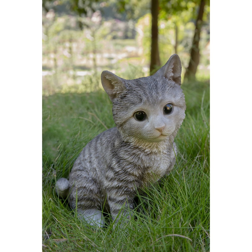 Head-Tilting Grey Tabby Kitten Sitting. Picture 6