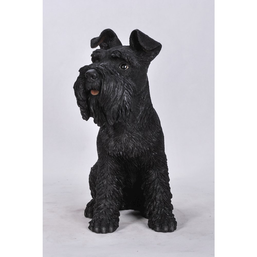 Black Schnauzer Statue. Picture 4