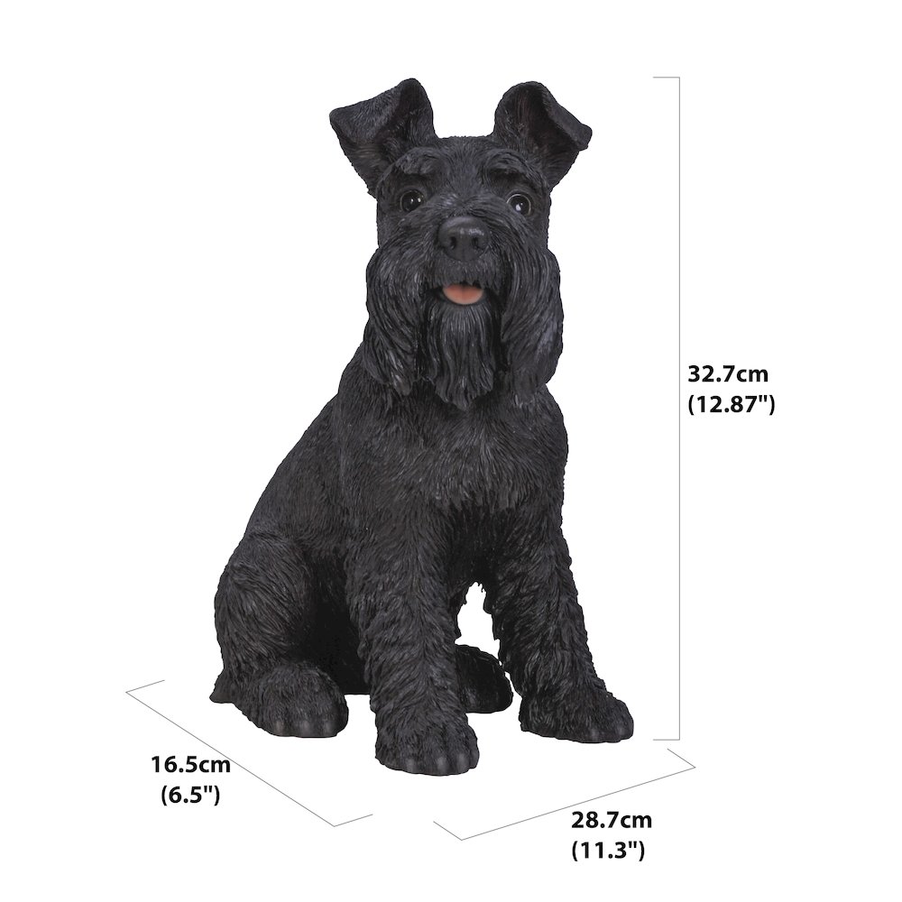 Black Schnauzer Statue. Picture 6