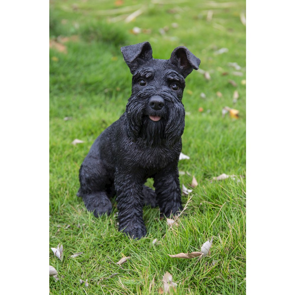 Black Schnauzer Statue. Picture 7