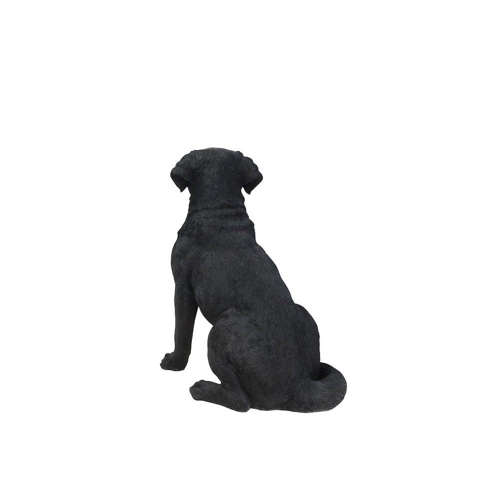 Noble Black Labrador Sitting. Picture 2
