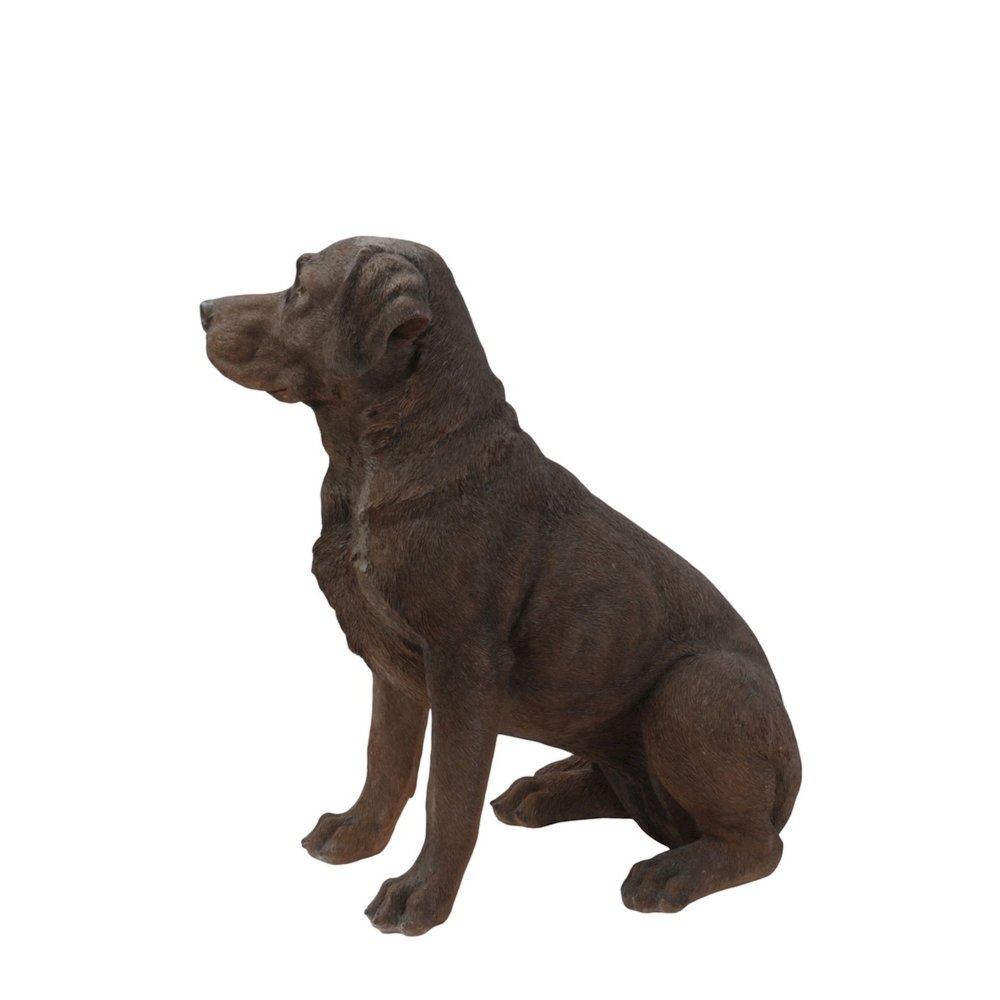 Brown Labrador Retriever Sitting. Picture 1