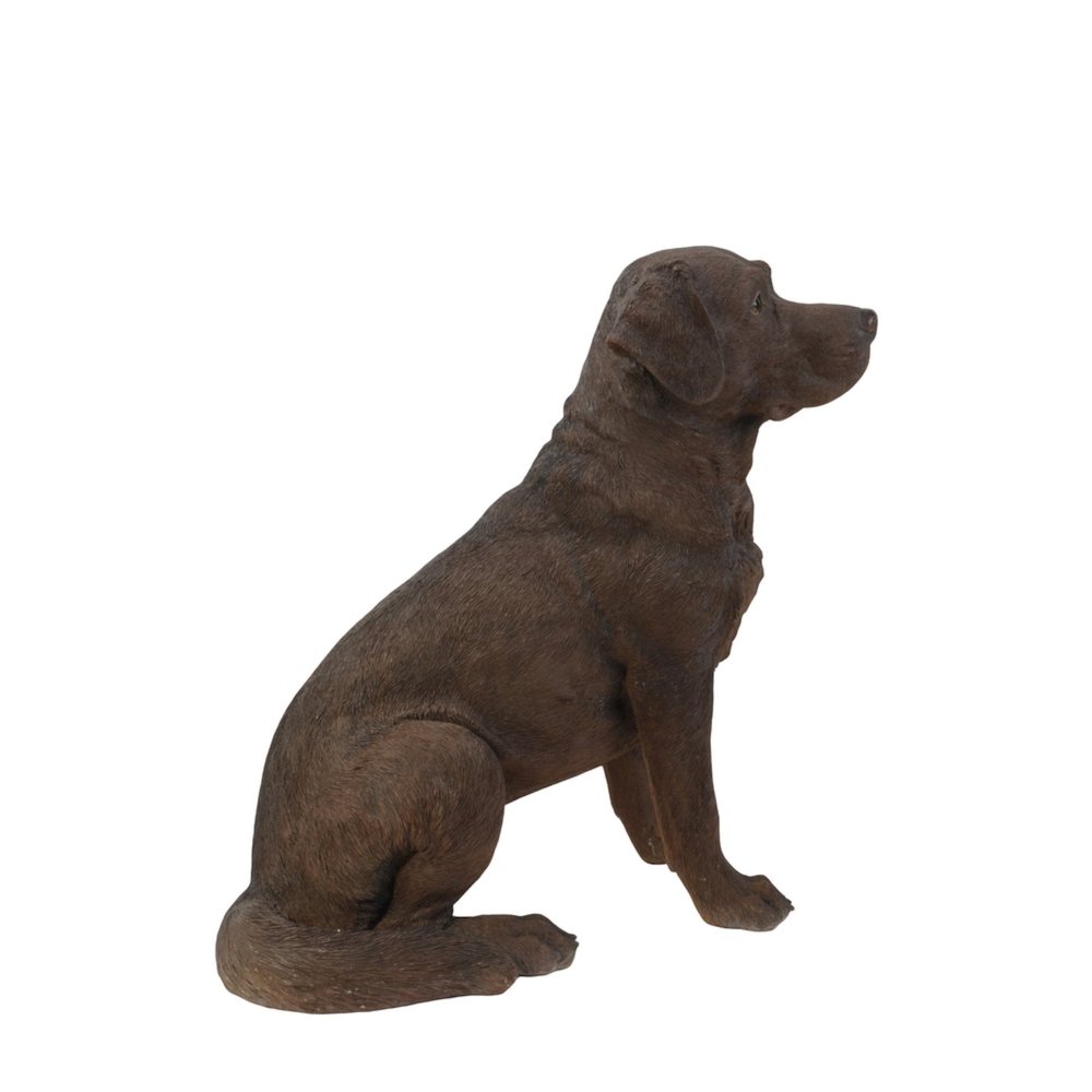 Brown Labrador Retriever Sitting. Picture 4