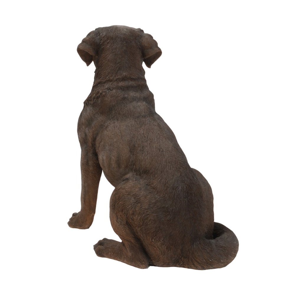 Brown Labrador Retriever Sitting. Picture 3