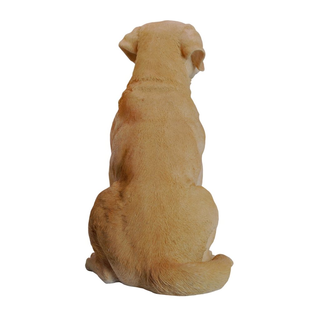 Yellow Labrador Retriever Sitting. Picture 3