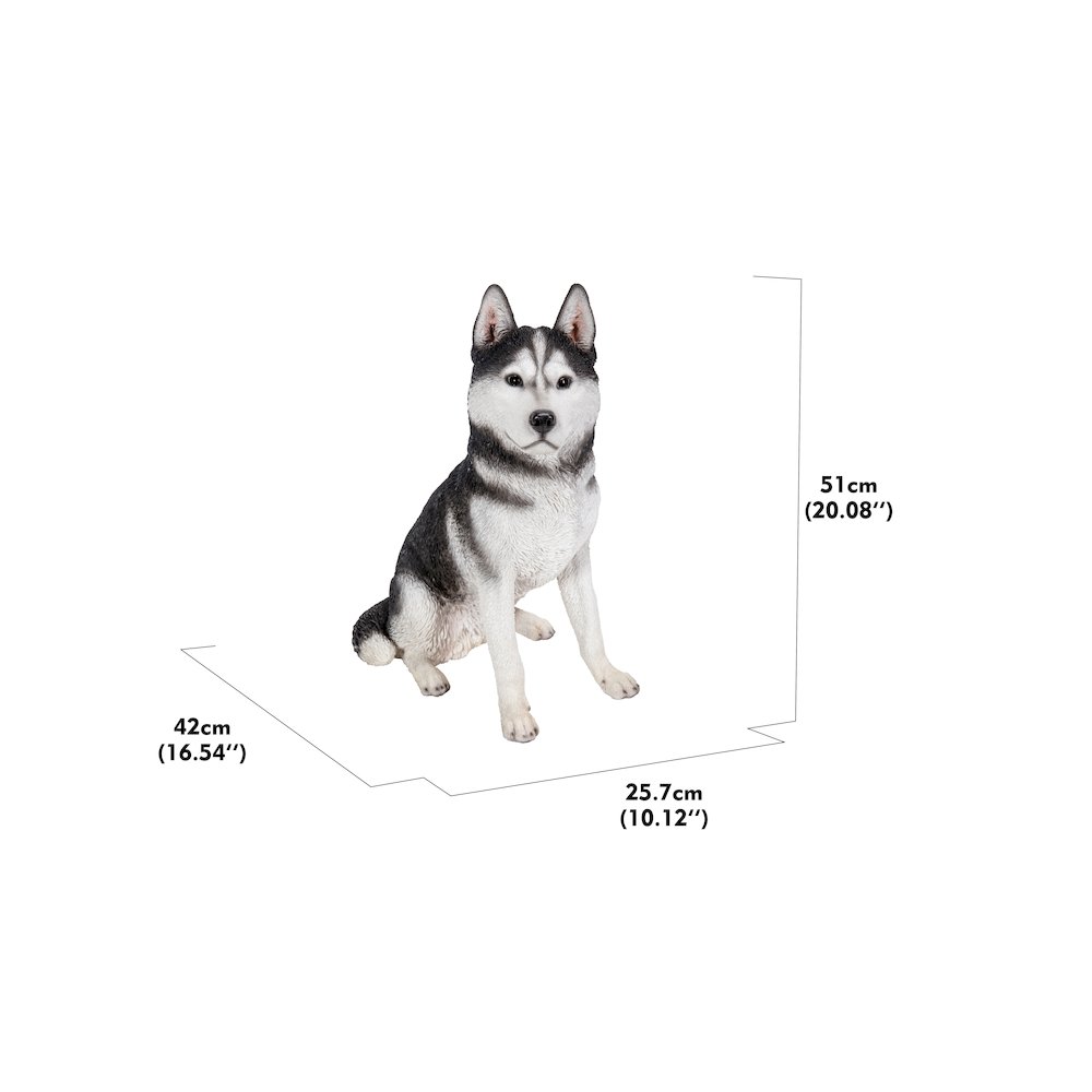 Large Black & White Siberian Husky Sitting. Picture 1