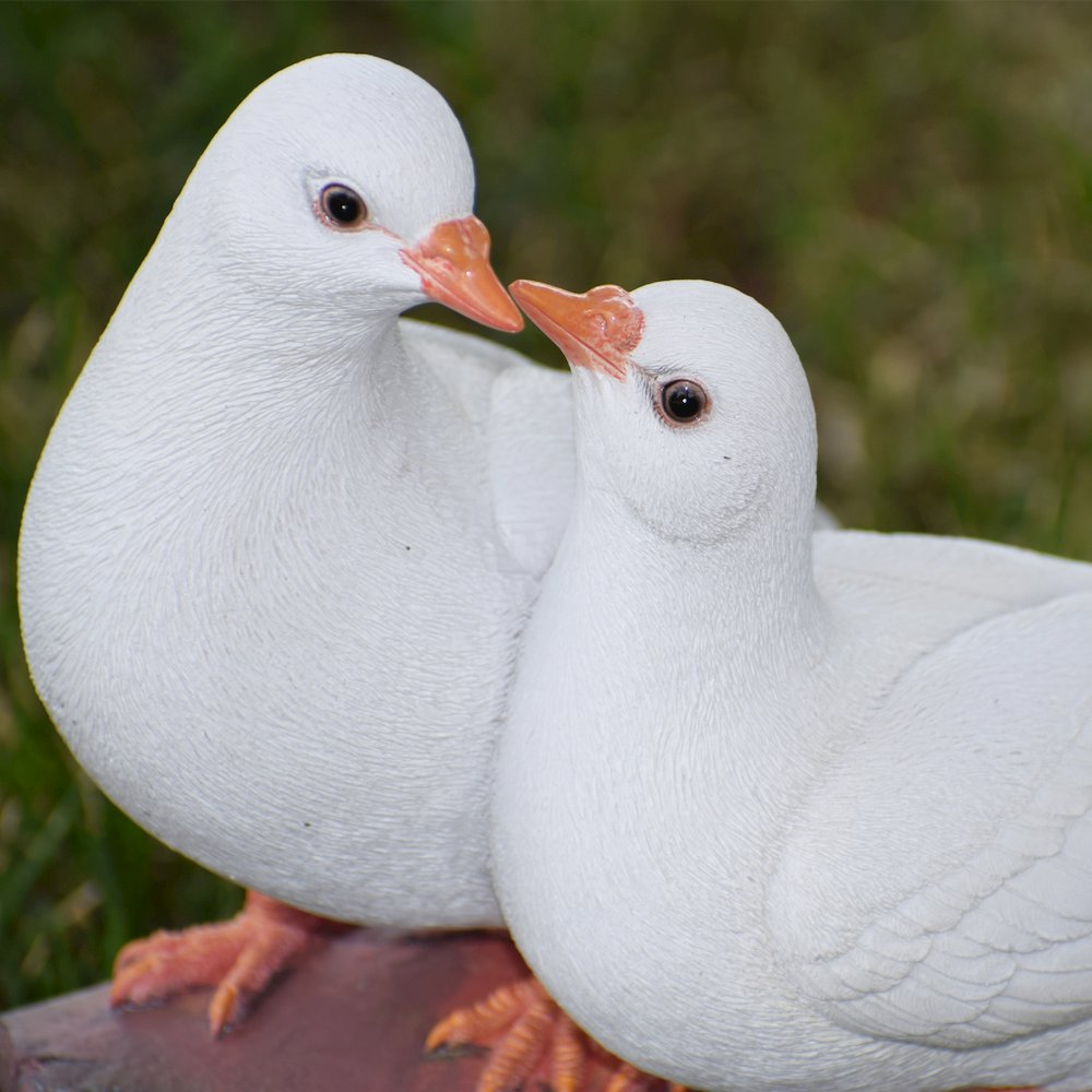 Two Doves On A Log Statue. Picture 6