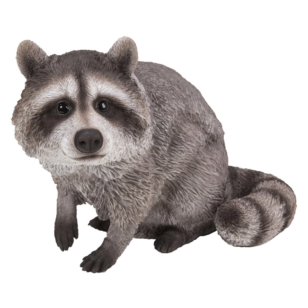 Raccoon Sitting Statue. Picture 2