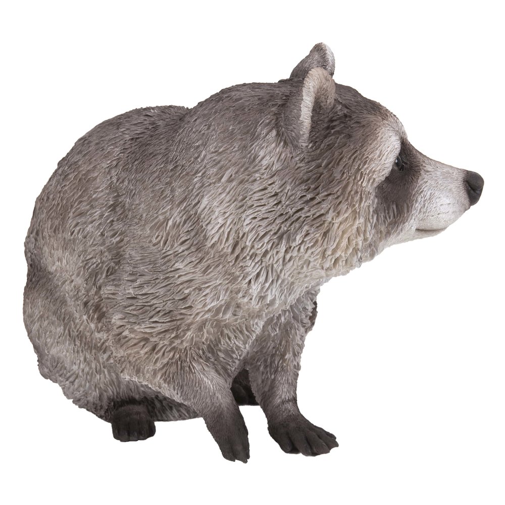 Raccoon Sitting Statue. Picture 4