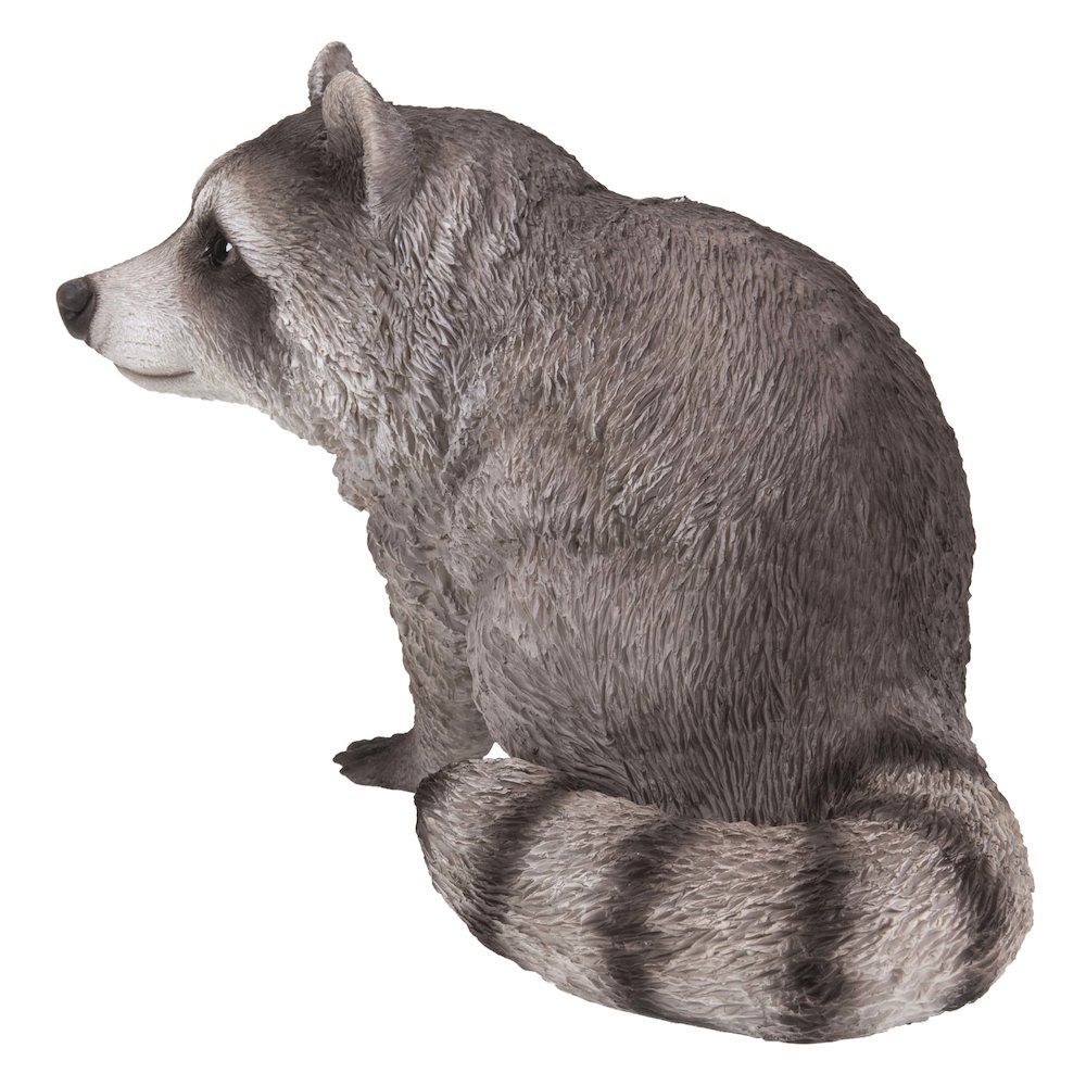 Raccoon Sitting Statue. Picture 3