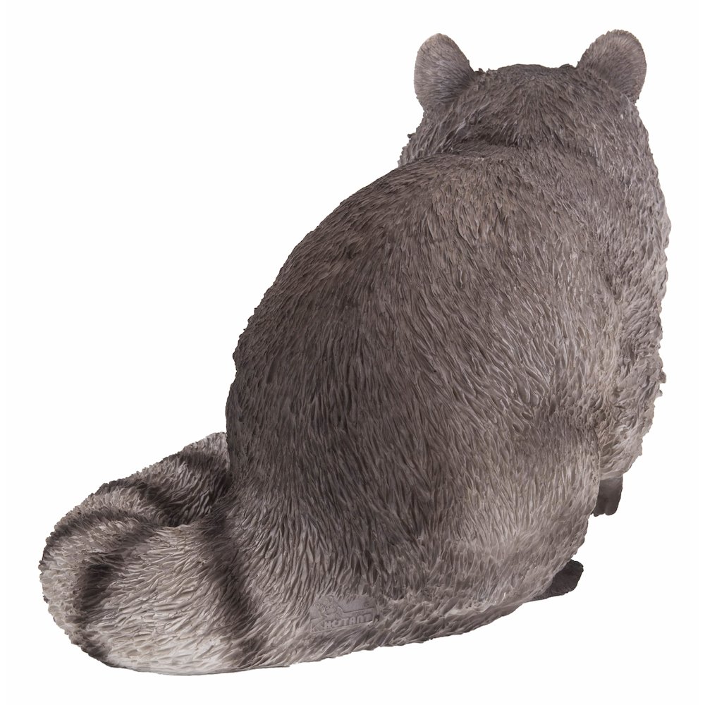 Raccoon Sitting Statue. Picture 1