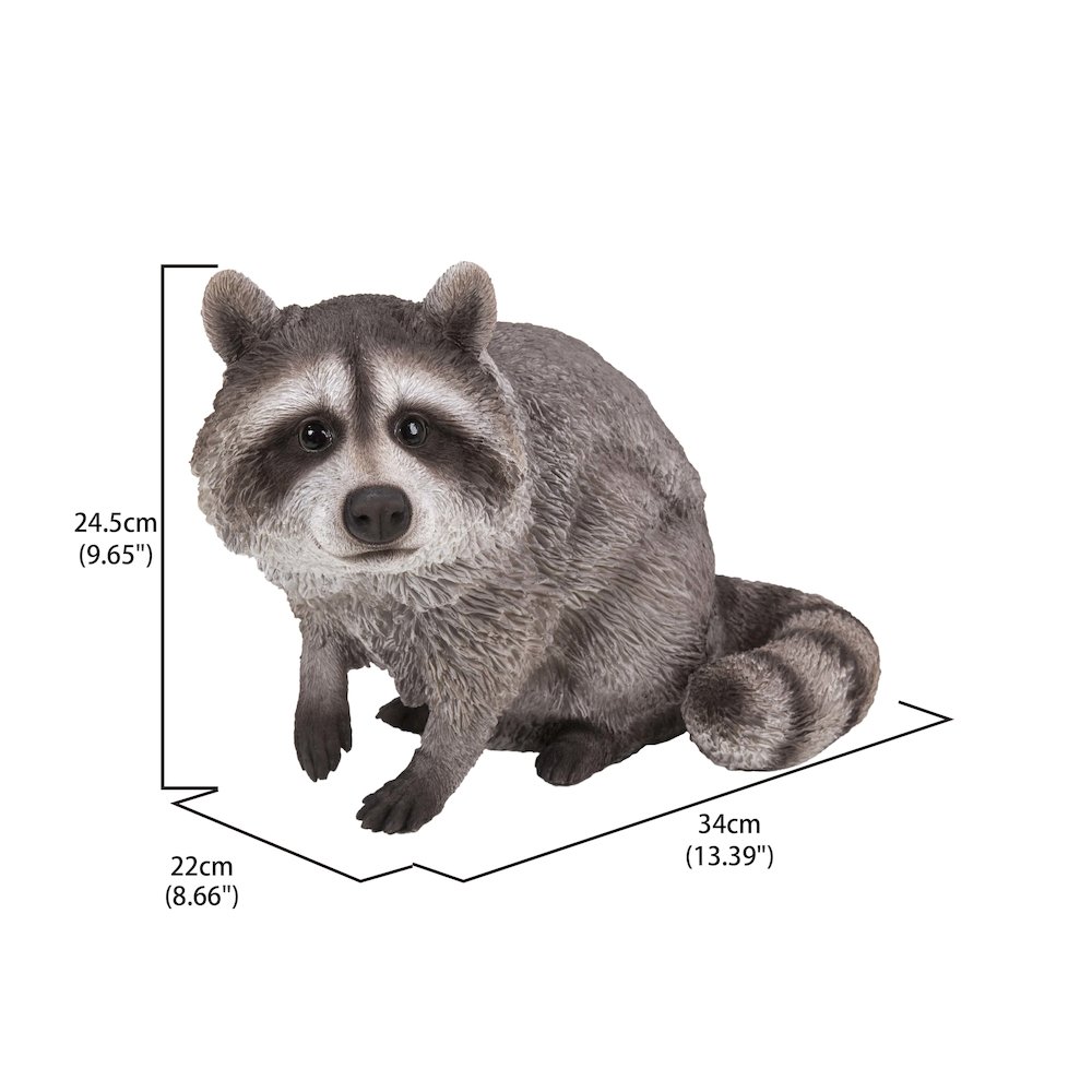 Raccoon Sitting Statue. Picture 5