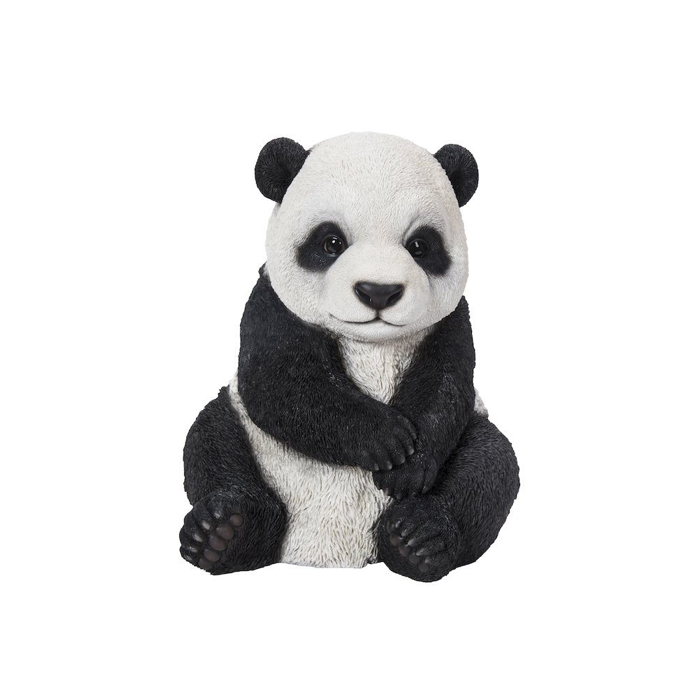 Small Panda Cub Sitting. Picture 2