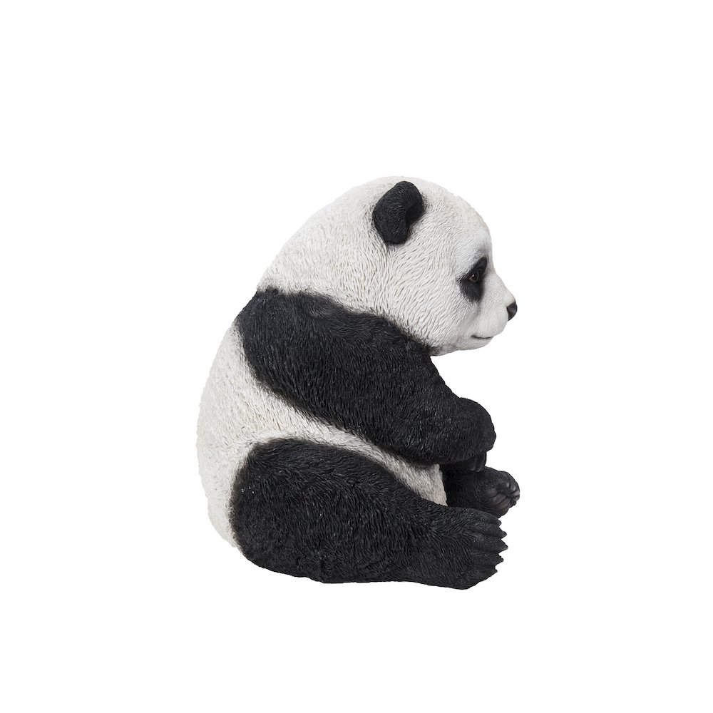 Small Panda Cub Sitting. Picture 4