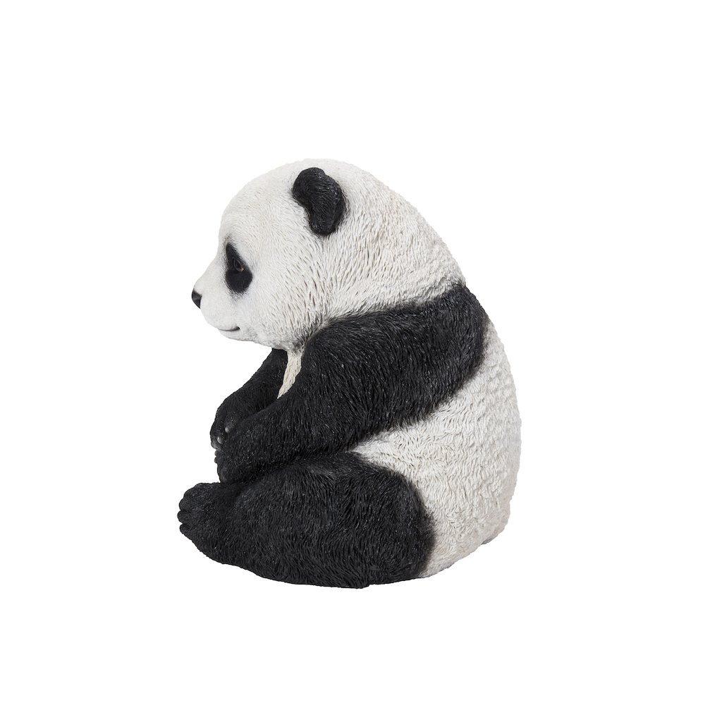 Small Panda Cub Sitting. Picture 5