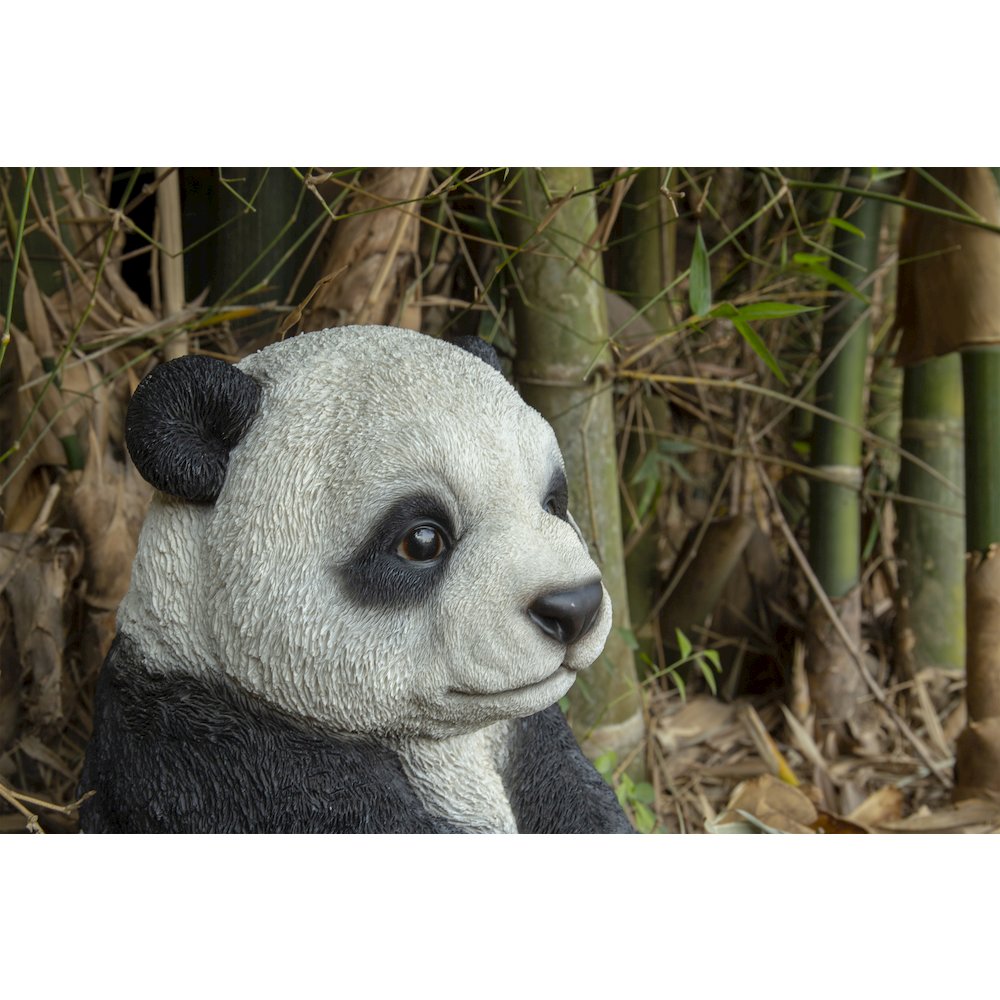 Small Panda Cub Sitting. Picture 3