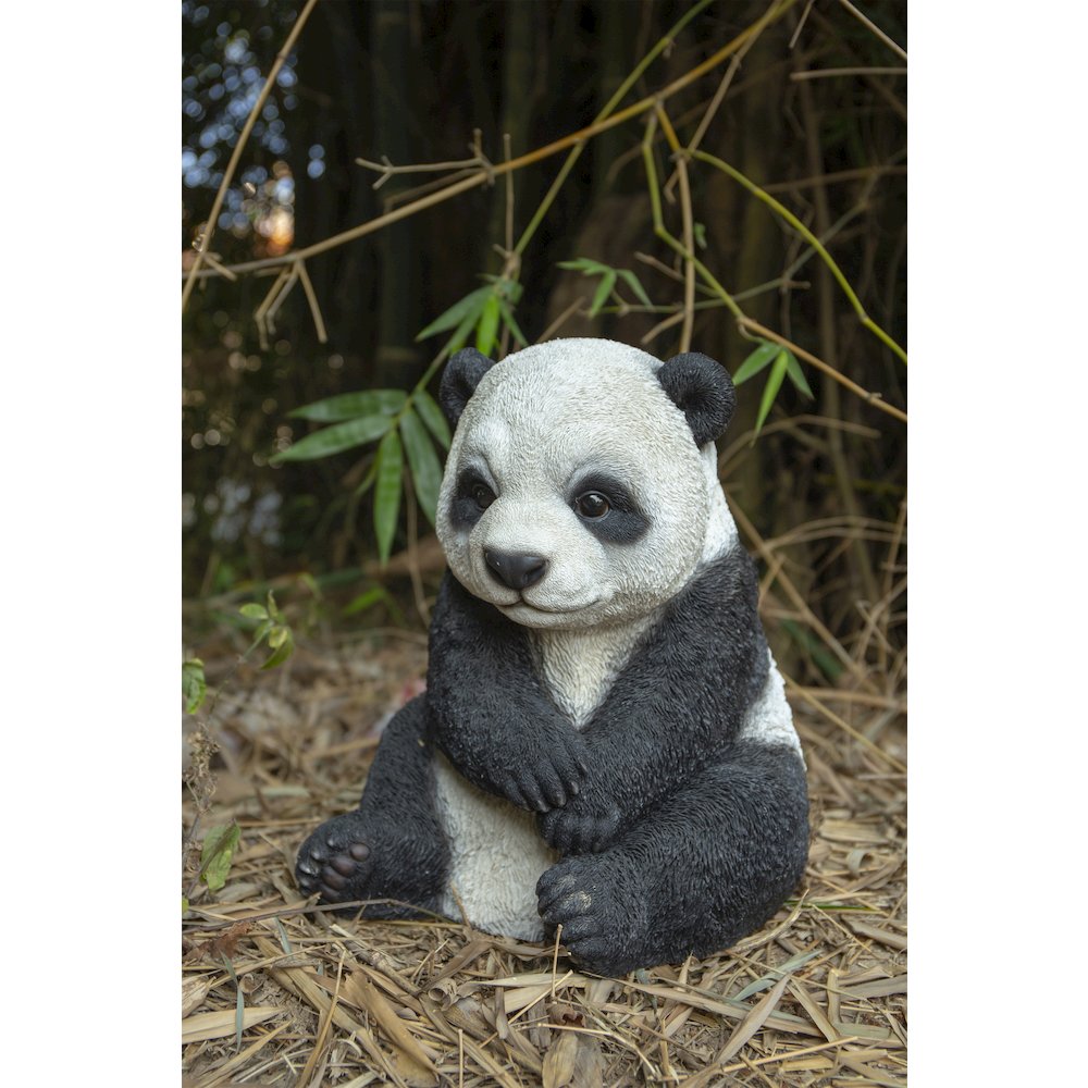 Small Panda Cub Sitting. Picture 6