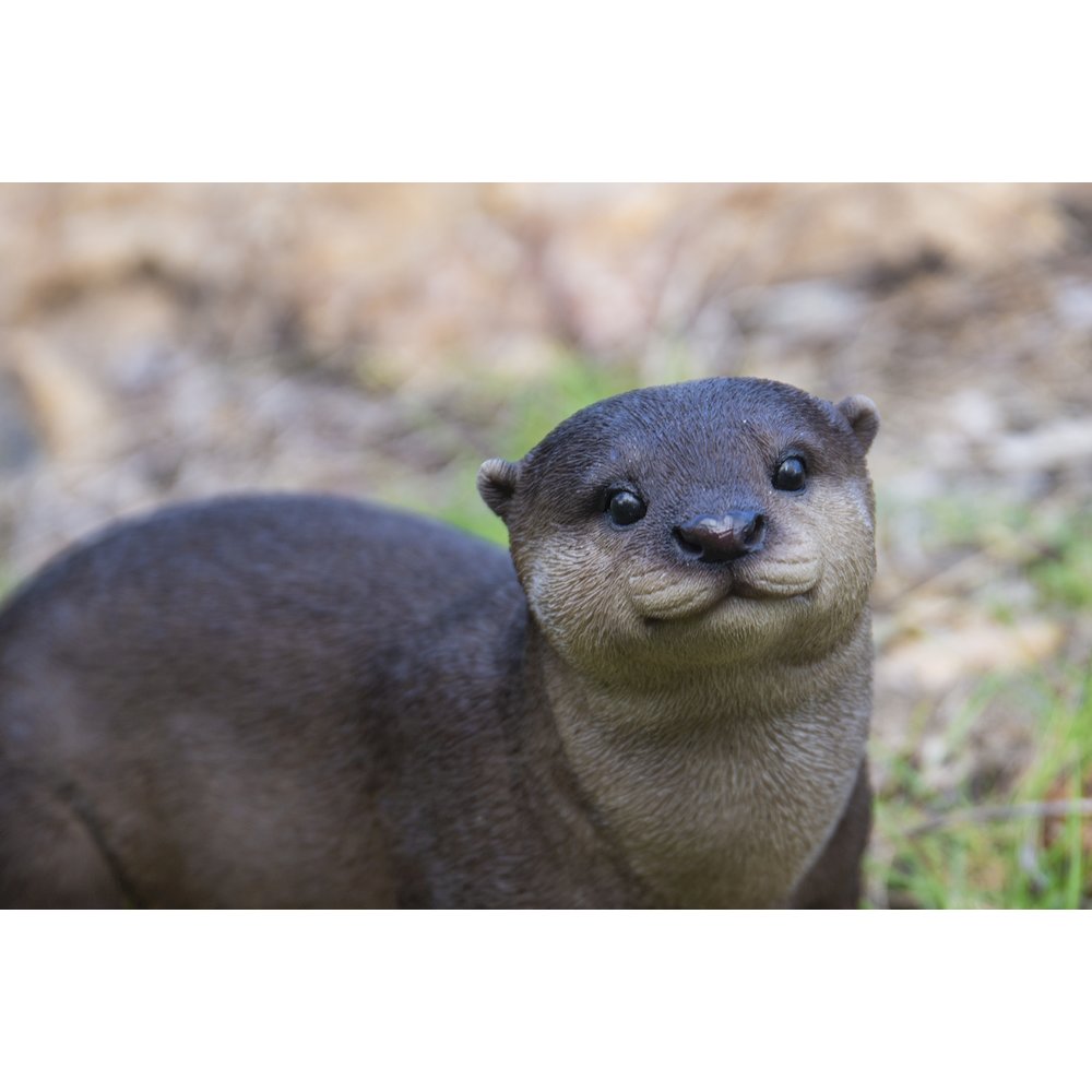 Brown Standing Otter. Picture 5