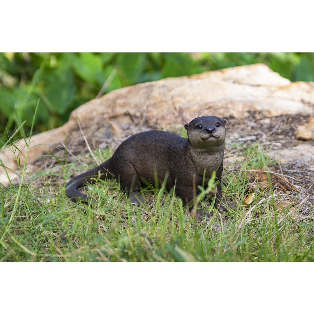 Brown Standing Otter. Picture 6