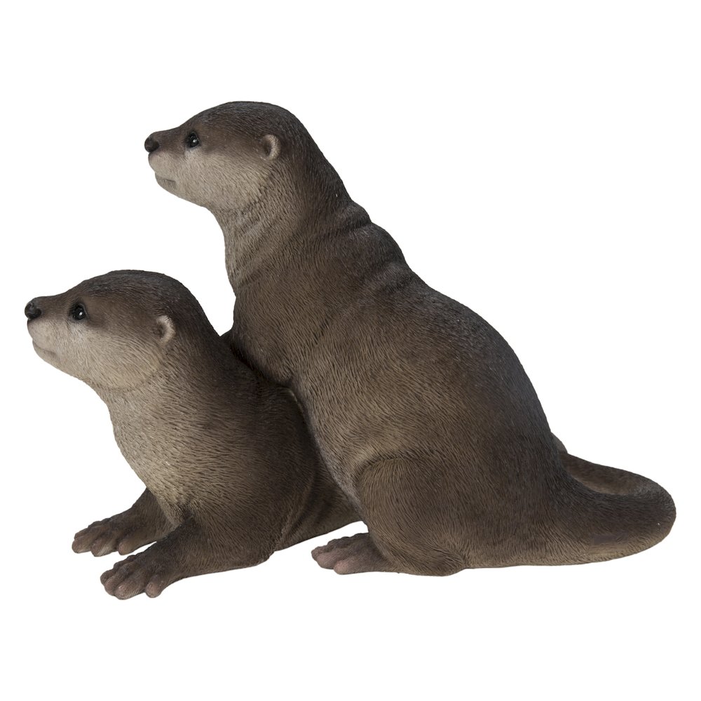 Playful Otters. Picture 1