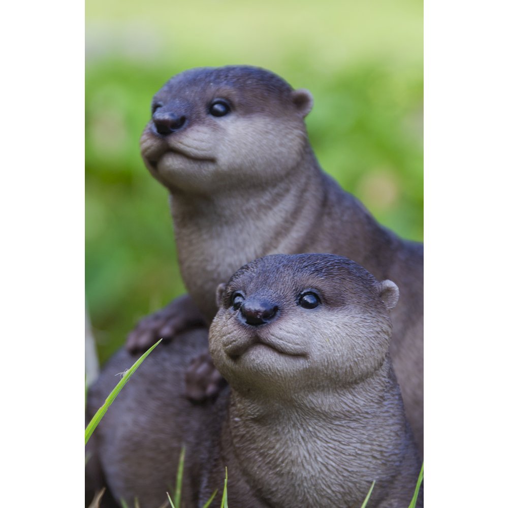 Playful Otters. Picture 5
