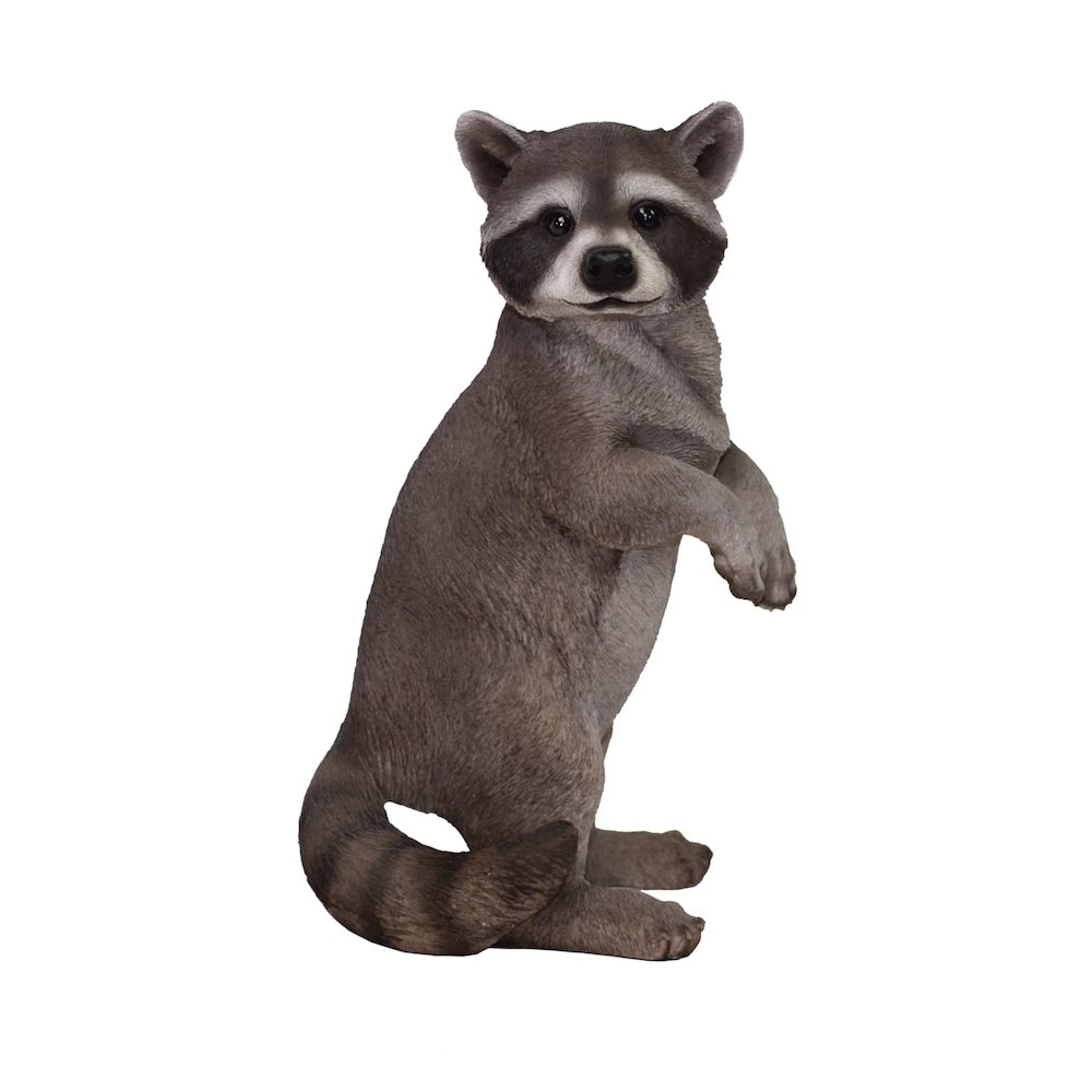 Standing Raccoon Statue. Picture 1